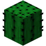 Minecraft cactus
