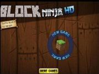 minecraft block ninja